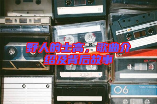 野人的士高，歌曲介紹及背后故事
