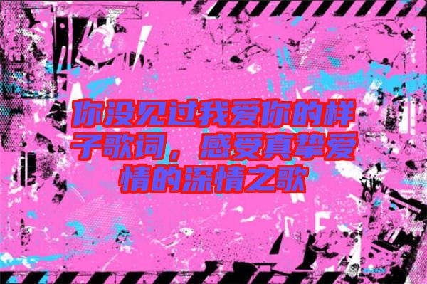 你沒見過我愛你的樣子歌詞，感受真摯愛情的深情之歌