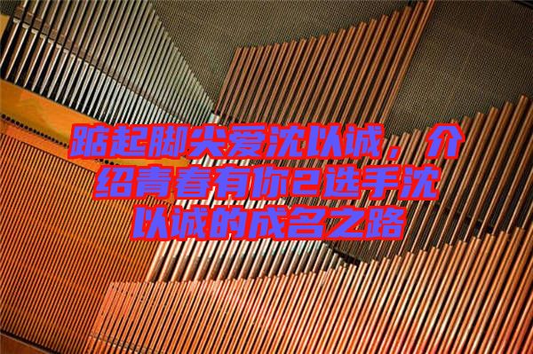 踮起腳尖愛沈以誠，介紹青春有你2選手沈以誠的成名之路