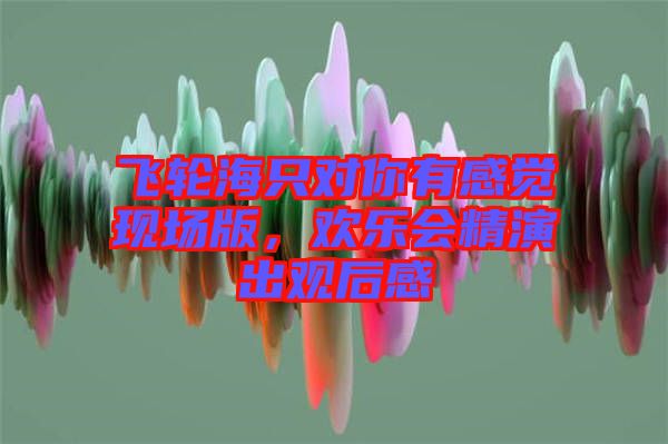 飛輪海只對(duì)你有感覺現(xiàn)場(chǎng)版，歡樂會(huì)精演出觀后感
