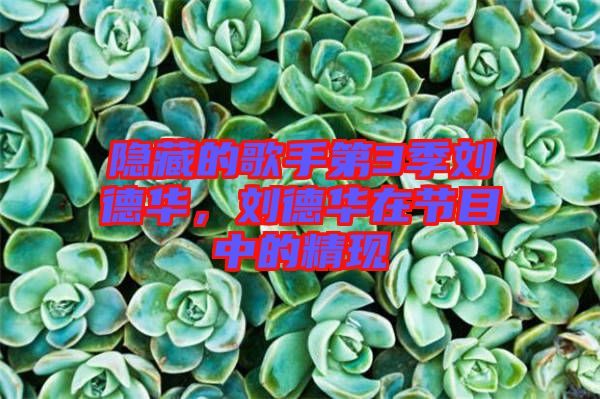 隱藏的歌手第3季劉德華，劉德華在節(jié)目中的精現