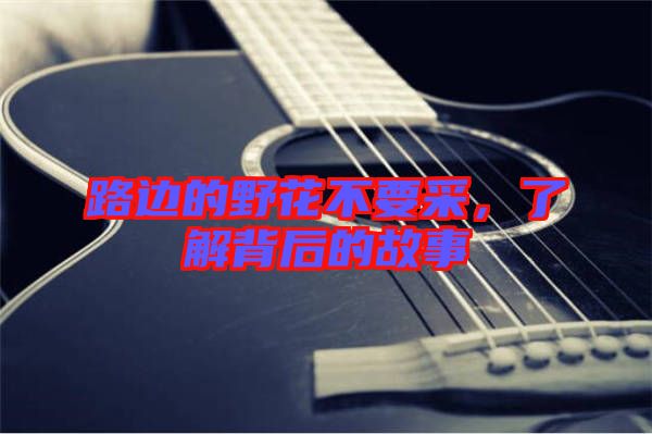 路邊的野花不要采，了解背后的故事