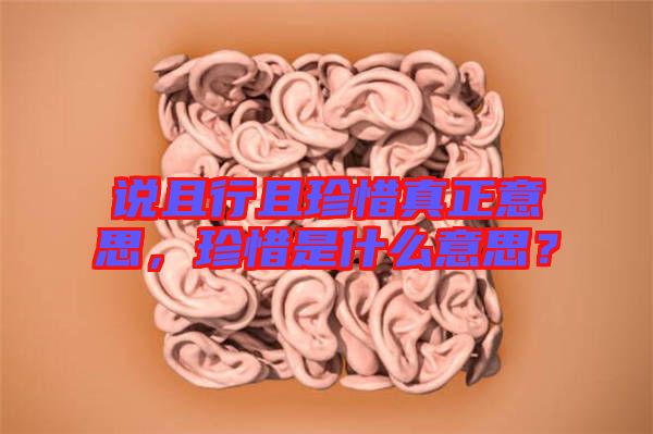 說且行且珍惜真正意思，珍惜是什么意思？