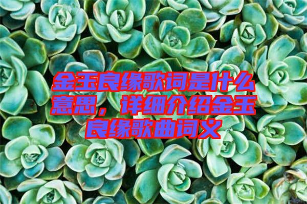 金玉良緣歌詞是什么意思，詳細(xì)介紹金玉良緣歌曲詞義