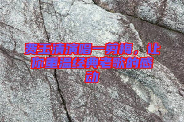 費(fèi)玉清演唱一剪梅，讓你重溫經(jīng)典老歌的感動(dòng)