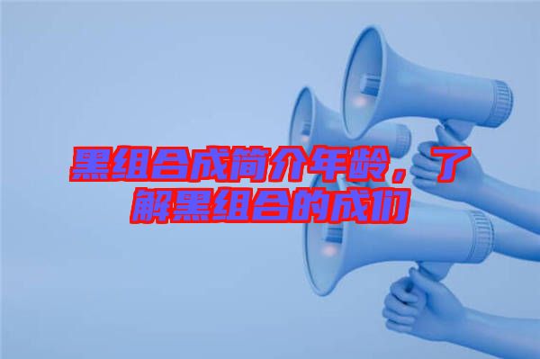 黑組合成簡介年齡，了解黑組合的成們