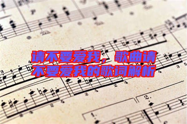 請不要愛我，歌曲請不要愛我的歌詞解析