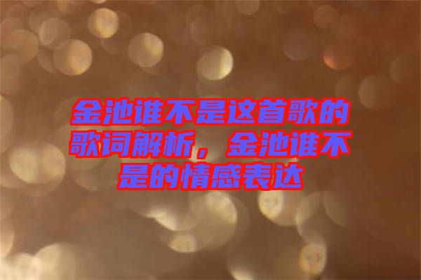 金池誰(shuí)不是這首歌的歌詞解析，金池誰(shuí)不是的情感表達(dá)