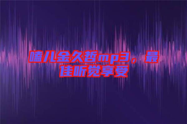 嗑兒金久哲mp3，最佳聽覺享受
