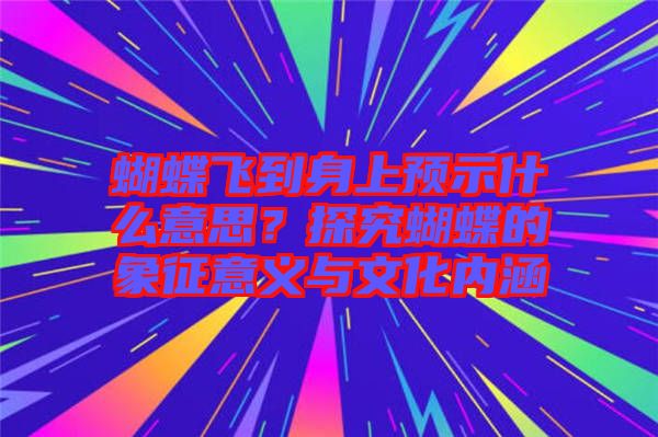 蝴蝶飛到身上預示什么意思？探究蝴蝶的象征意義與文化內涵