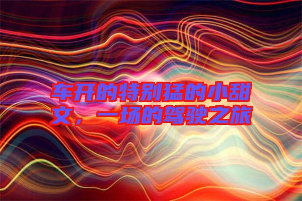 車開的特別猛的小甜文，一場的駕駛之旅