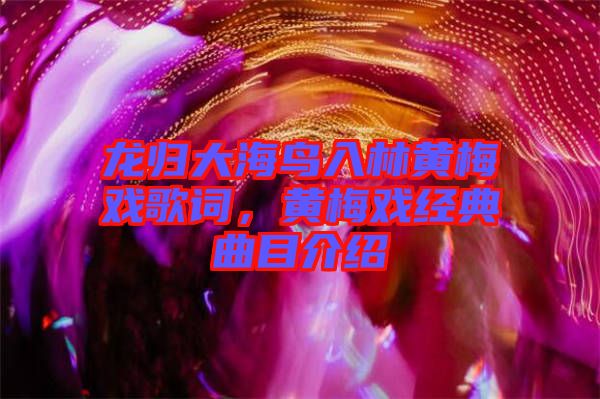 龍歸大海鳥入林黃梅戲歌詞，黃梅戲經(jīng)典曲目介紹