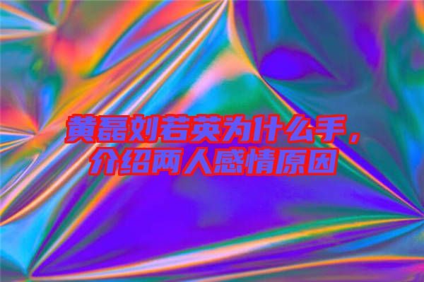 黃磊劉若英為什么手，介紹兩人感情原因