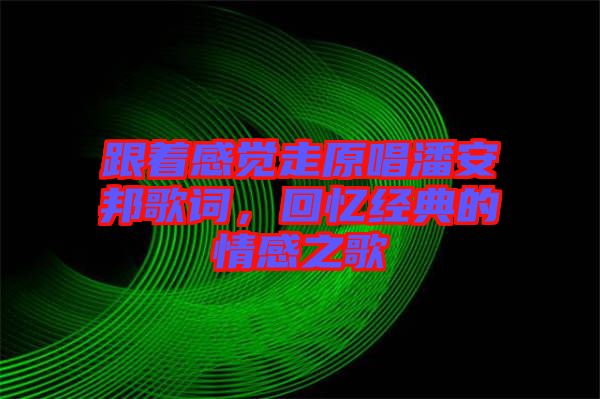 跟著感覺走原唱潘安邦歌詞，回憶經(jīng)典的情感之歌