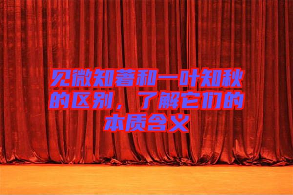 見微知著和一葉知秋的區(qū)別，了解它們的本質(zhì)含義