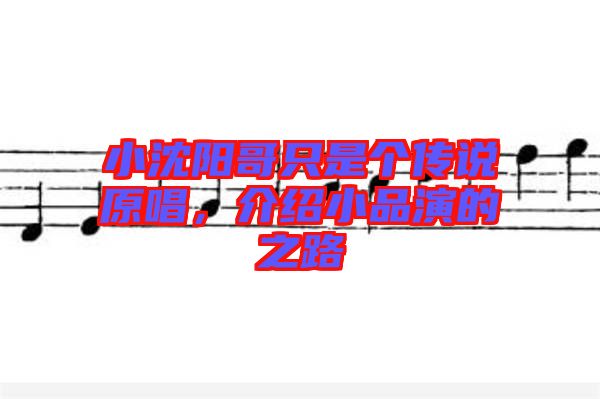 小沈陽哥只是個傳說原唱，介紹小品演的之路