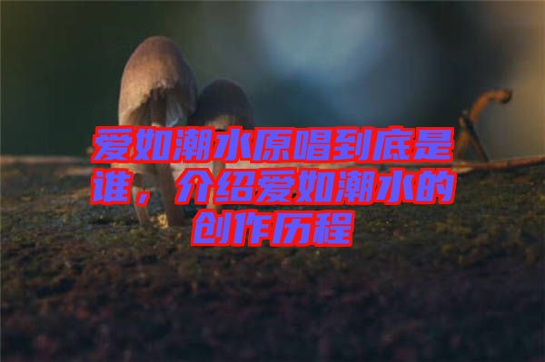 愛如潮水原唱到底是誰，介紹愛如潮水的創(chuàng)作歷程