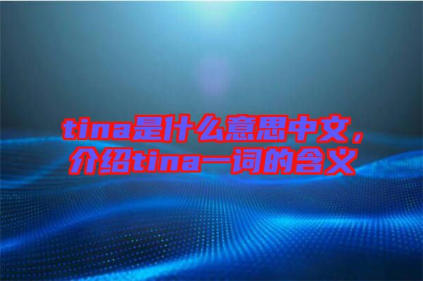 tina是什么意思中文，介紹tina一詞的含義