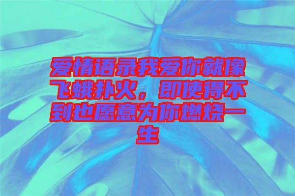 愛情語錄我愛你就像飛蛾撲火，即使得不到也愿意為你燃燒一生