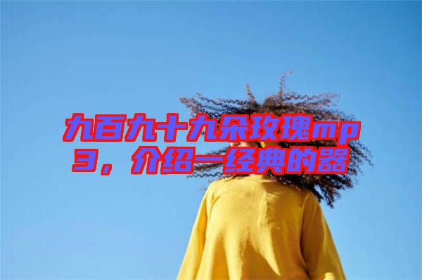 九百九十九朵玫瑰mp3，介紹一經(jīng)典的器