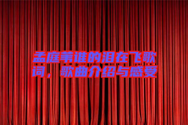孟庭葦誰(shuí)的淚在飛歌詞，歌曲介紹與感受