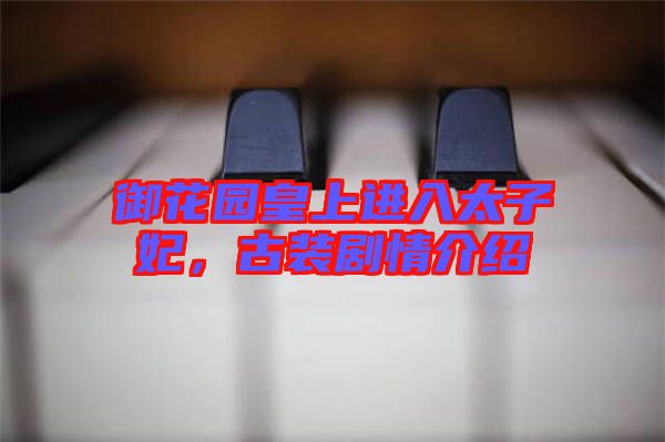 御花園皇上進(jìn)入太子妃，古裝劇情介紹
