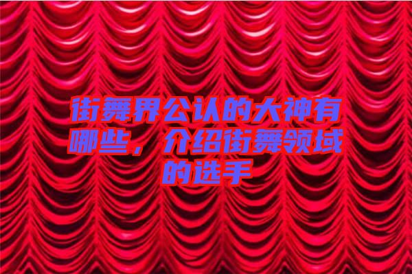 街舞界公認(rèn)的大神有哪些，介紹街舞領(lǐng)域的選手