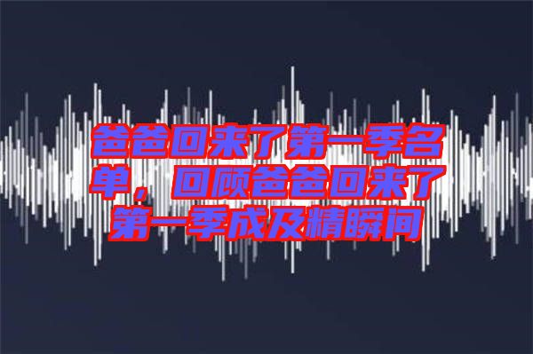 爸爸回來了第一季名單，回顧爸爸回來了第一季成及精瞬間