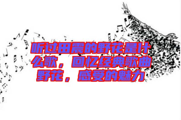 聽過田震的野花是什么歌，回憶經(jīng)典歌曲野花，感受的魅力