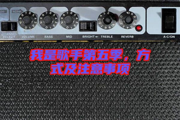 我是歌手第五季，方式及注意事項