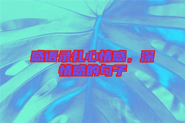 感語錄扎心情感，深情感的句子