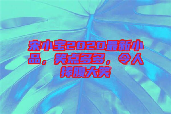 宋小寶2020最新小品，笑點(diǎn)多多，令人捧腹大笑