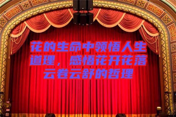 花的生命中領悟人生道理，感悟花開花落云卷云舒的哲理