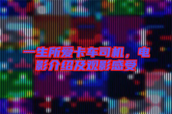 一生所愛卡車司機(jī)，電影介紹及觀影感受