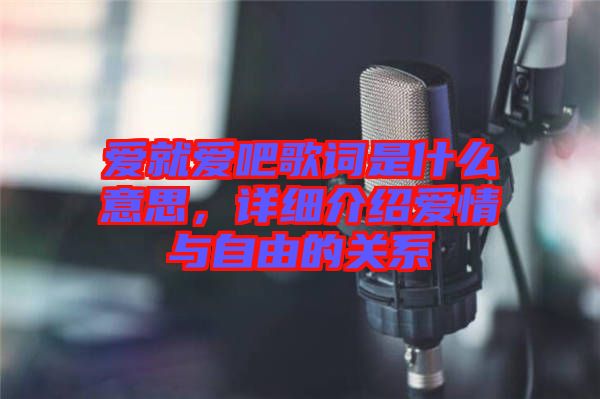 愛(ài)就愛(ài)吧歌詞是什么意思，詳細(xì)介紹愛(ài)情與自由的關(guān)系