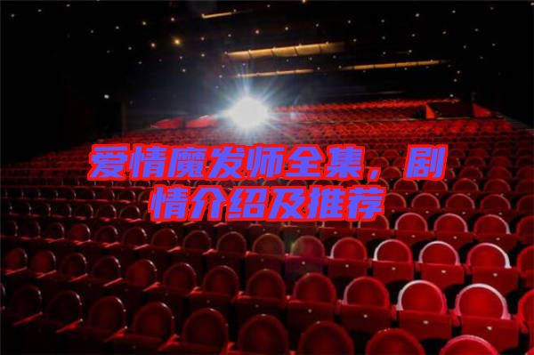愛情魔發(fā)師全集，劇情介紹及推薦