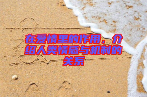 在愛(ài)情里的作用，介紹人類情感與機(jī)制的關(guān)系