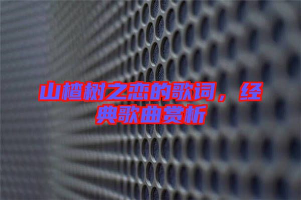 山楂樹之戀的歌詞，經(jīng)典歌曲賞析