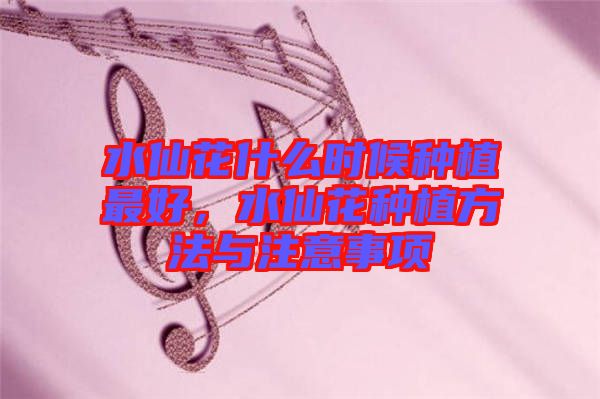 水仙花什么時(shí)候種植最好，水仙花種植方法與注意事項(xiàng)