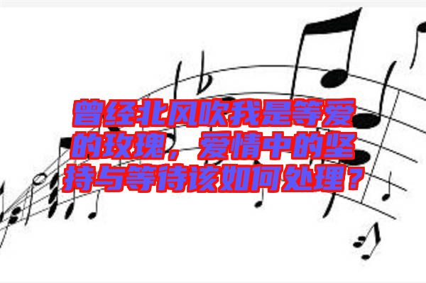 曾經(jīng)北風(fēng)吹我是等愛(ài)的玫瑰，愛(ài)情中的堅(jiān)持與等待該如何處理？