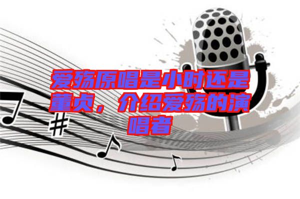愛殤原唱是小時還是董貞，介紹愛殤的演唱者