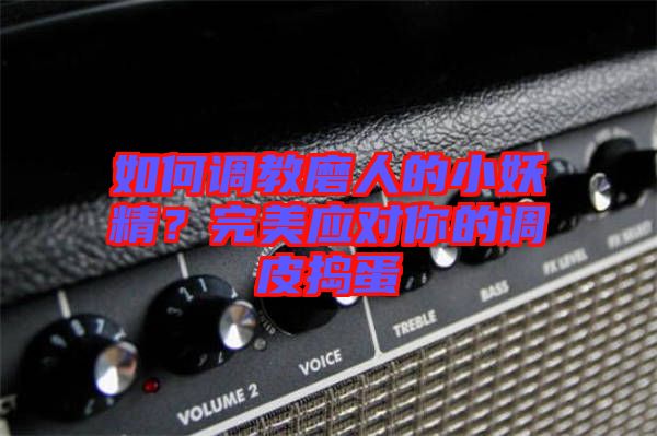 如何調(diào)教磨人的小妖精？完美應(yīng)對你的調(diào)皮搗蛋