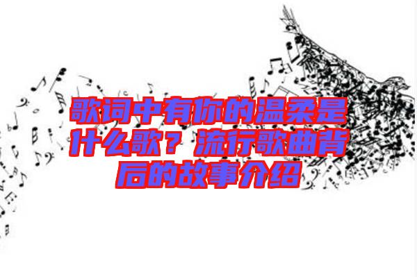 歌詞中有你的溫柔是什么歌？流行歌曲背后的故事介紹