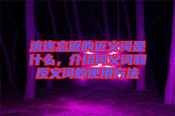 流連忘返的近義詞是什么，介紹同義詞和反義詞的使用方法