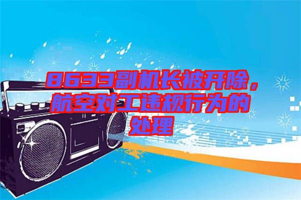 8633副機長被開除，航空對工違規(guī)行為的處理
