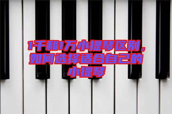 1千和1萬(wàn)小提琴區(qū)別，如何選擇適合自己的小提琴