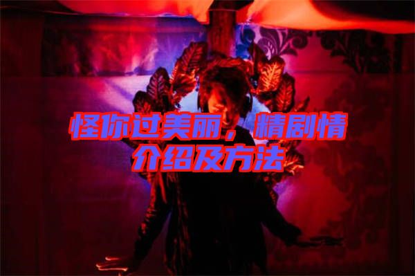 怪你過美麗，精劇情介紹及方法