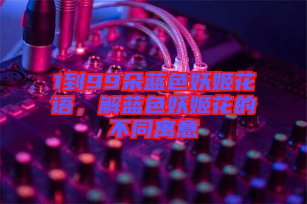1到99朵藍(lán)色妖姬花語(yǔ)，解藍(lán)色妖姬花的不同寓意