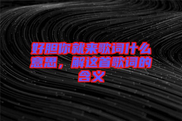 好膽你就來歌詞什么意思，解這首歌詞的含義