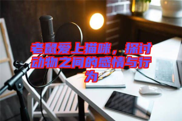 老鼠愛(ài)上貓咪，探討動(dòng)物之間的感情與行為